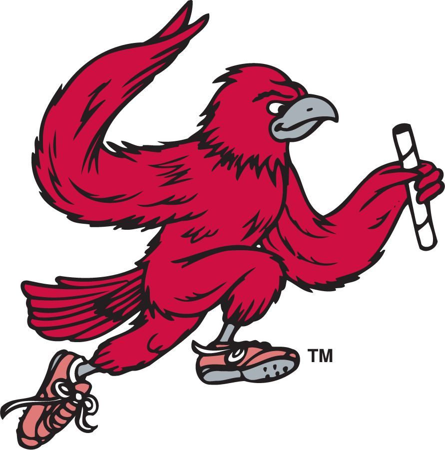 St. Joseph's Hawks 1995-2002 Secondary Logo v6 t shirts iron on transfers
